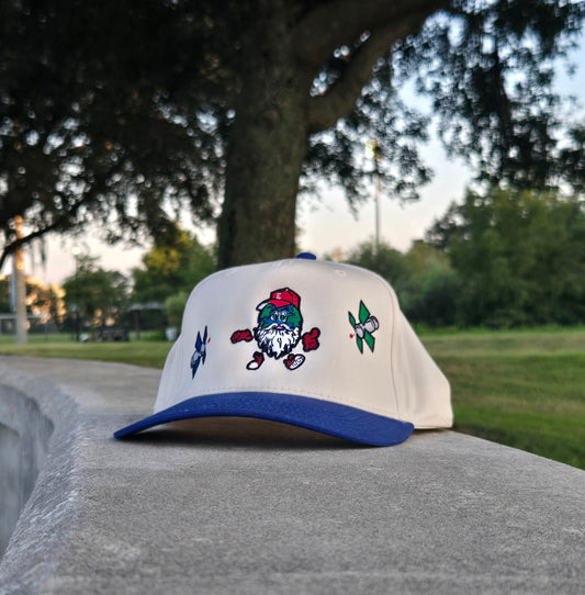 A Blue Earth logo Snapback